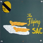 The Flying Sac